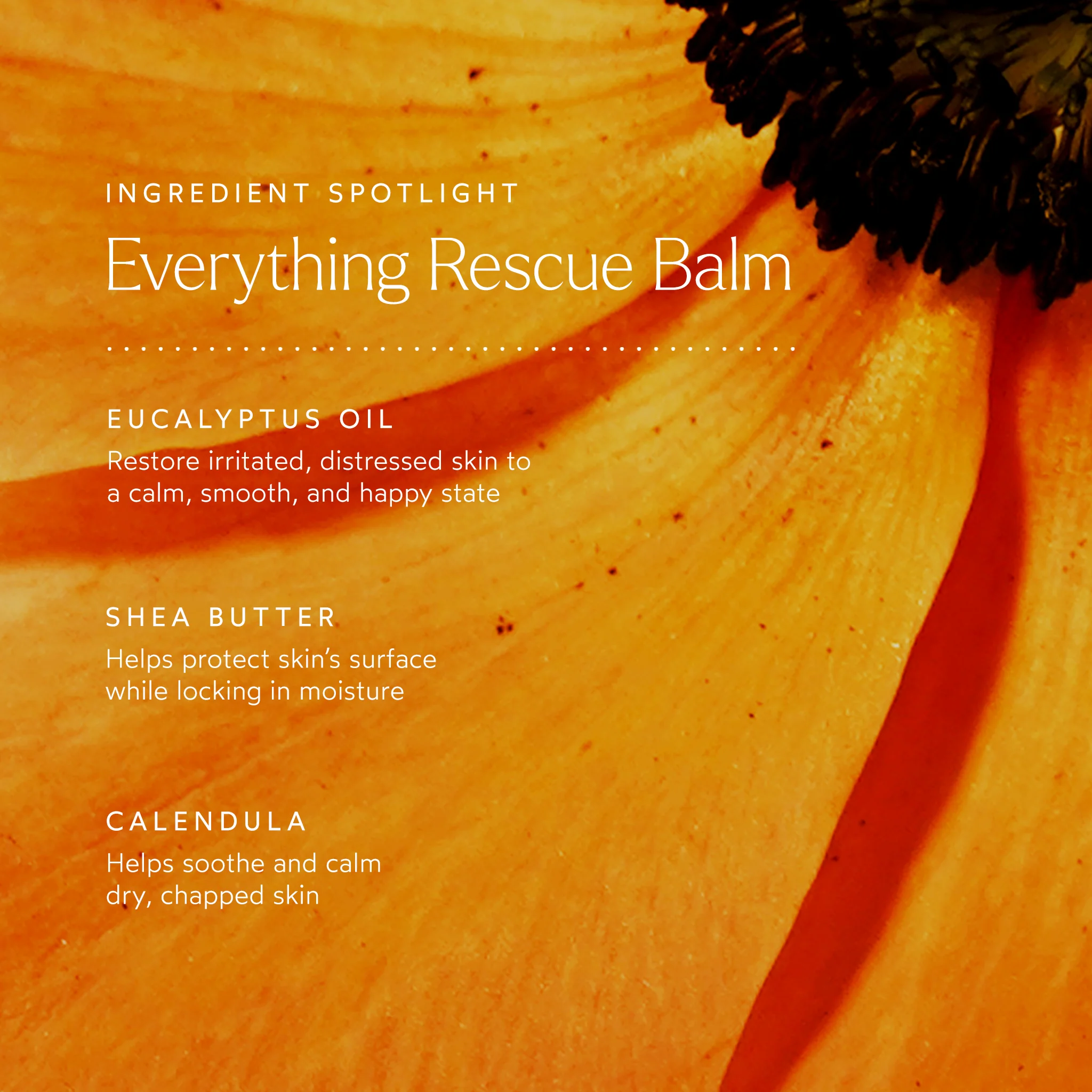 Everything Rescue Balm 5 Everything Rescue Balm
