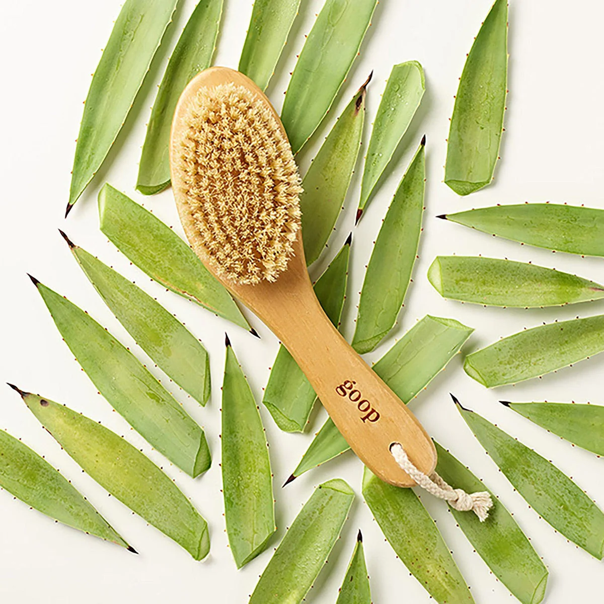 G.Tox Ultimate Dry Brush 2 G.Tox Ultimate Dry Brush