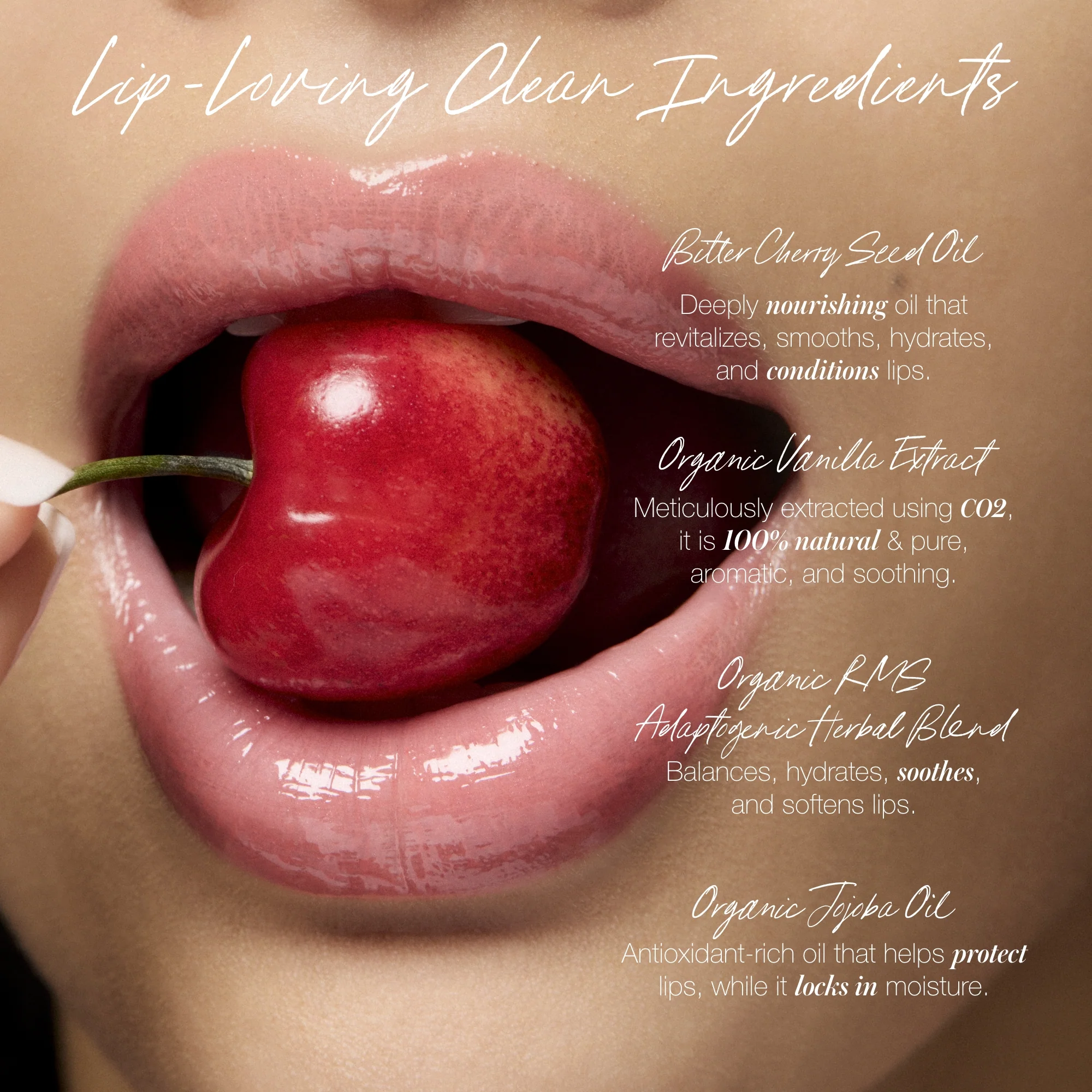 Legendary Lip Oil 36 Legendary Lip Oil