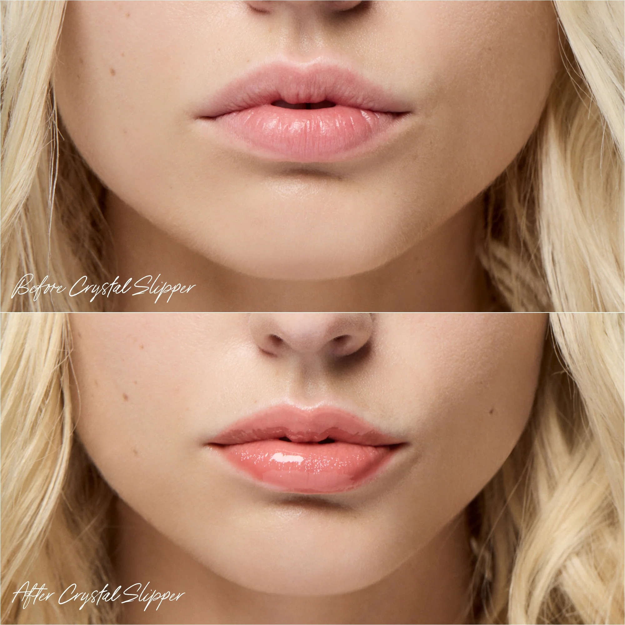 Legendary Lip Oil 4 Legendary Lip Oil