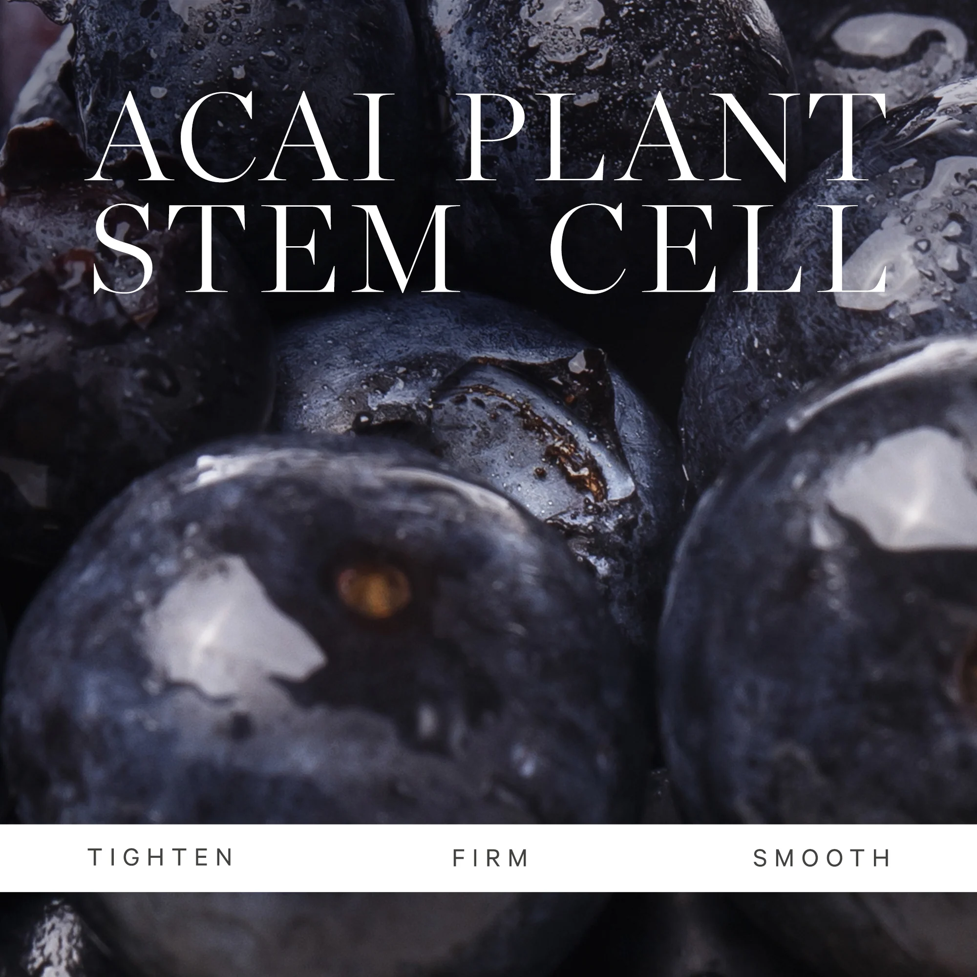 Plant Stem Cell Retinol Alternative Moisturizer 4 Plant Stem Cell Retinol Alternative Moisturizer