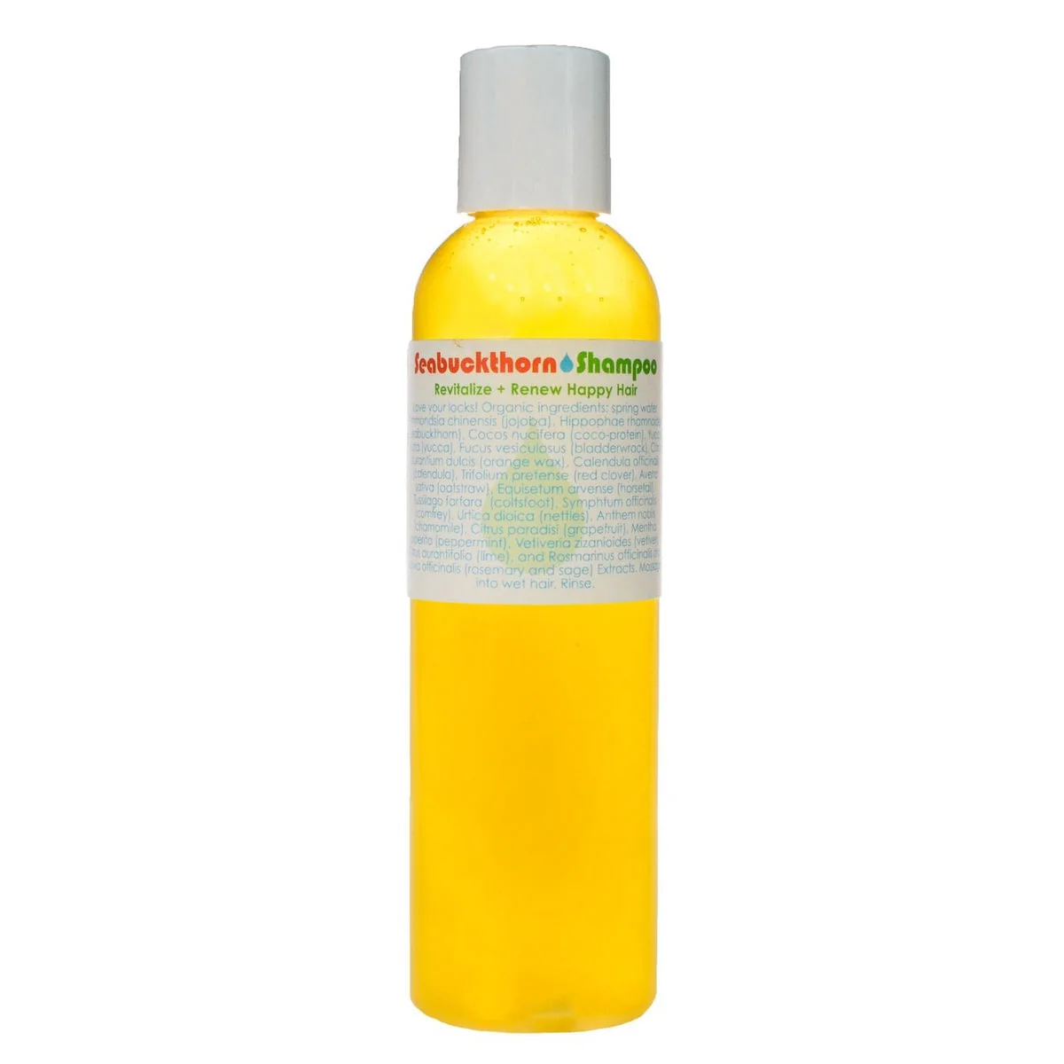 Seabuckthorn Shampoo 1 Seabuckthorn Shampoo