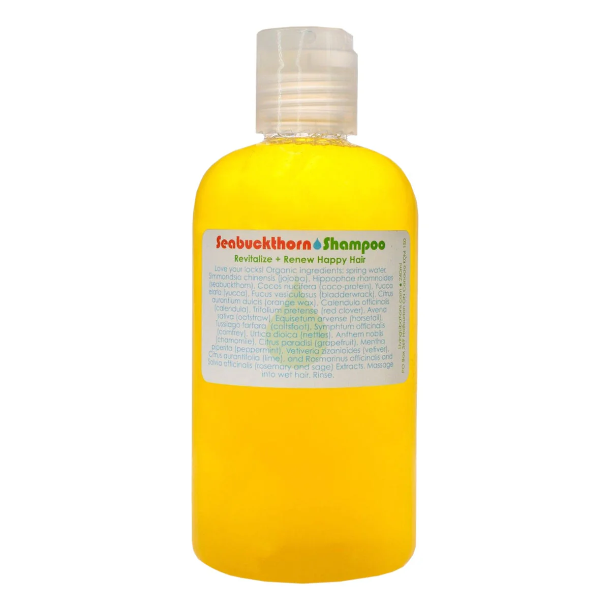 Seabuckthorn Shampoo 2 Seabuckthorn Shampoo