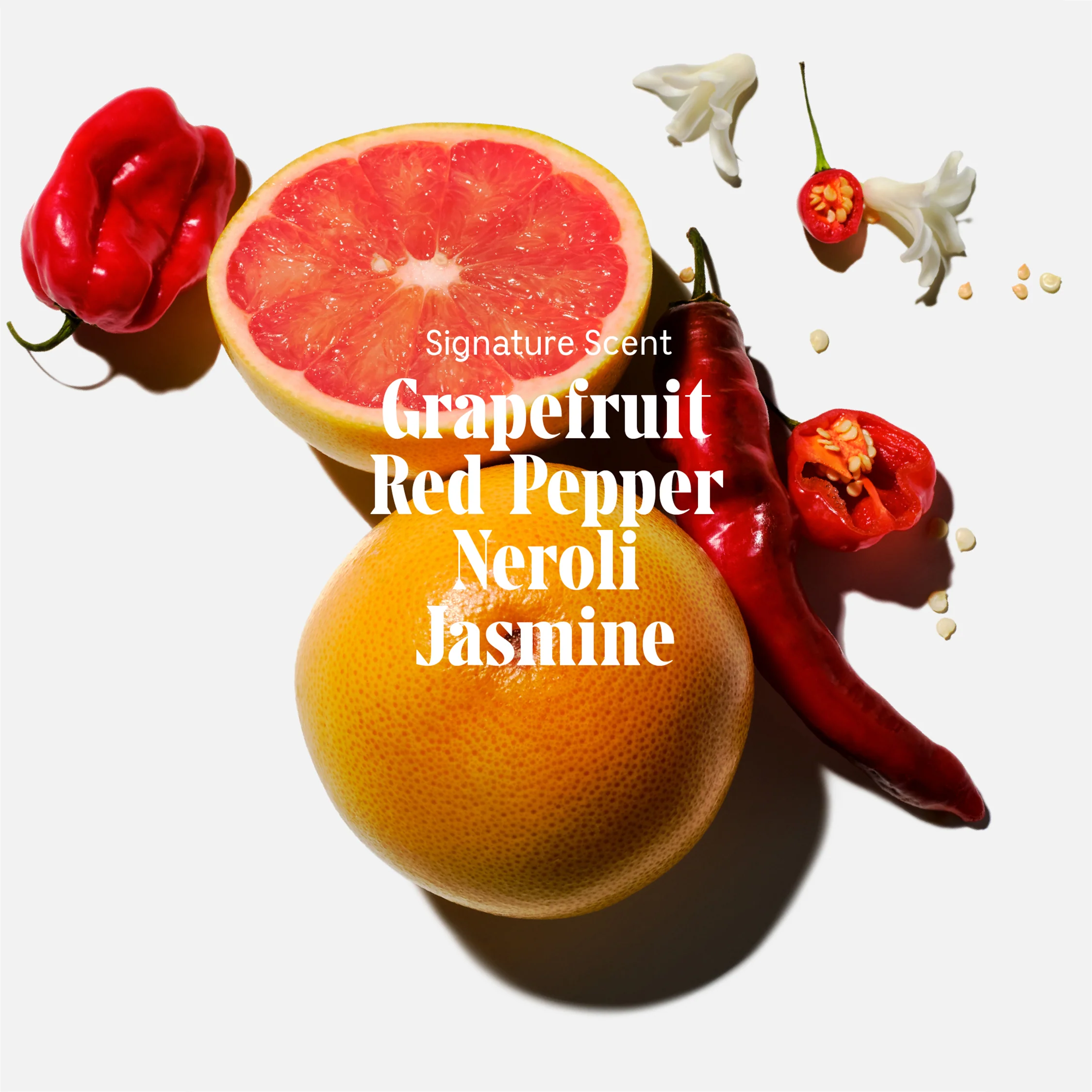 The Body Oil Grapefruit 5 The Body Oil Grapefruit