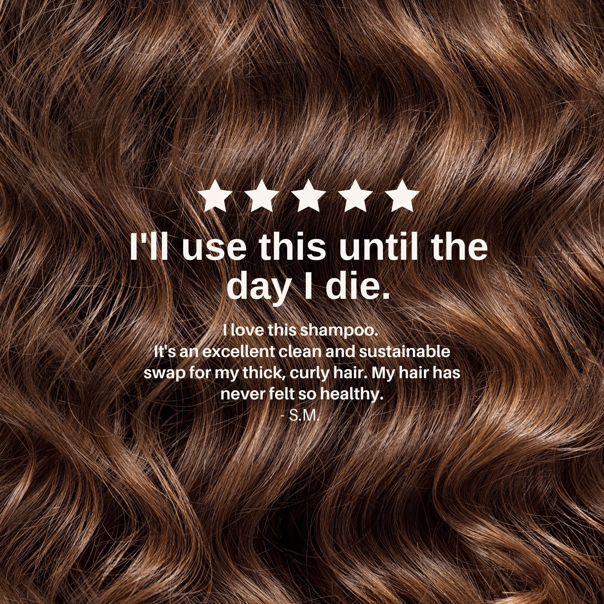 The Shampoo Concentrate 11 The Shampoo Concentrate