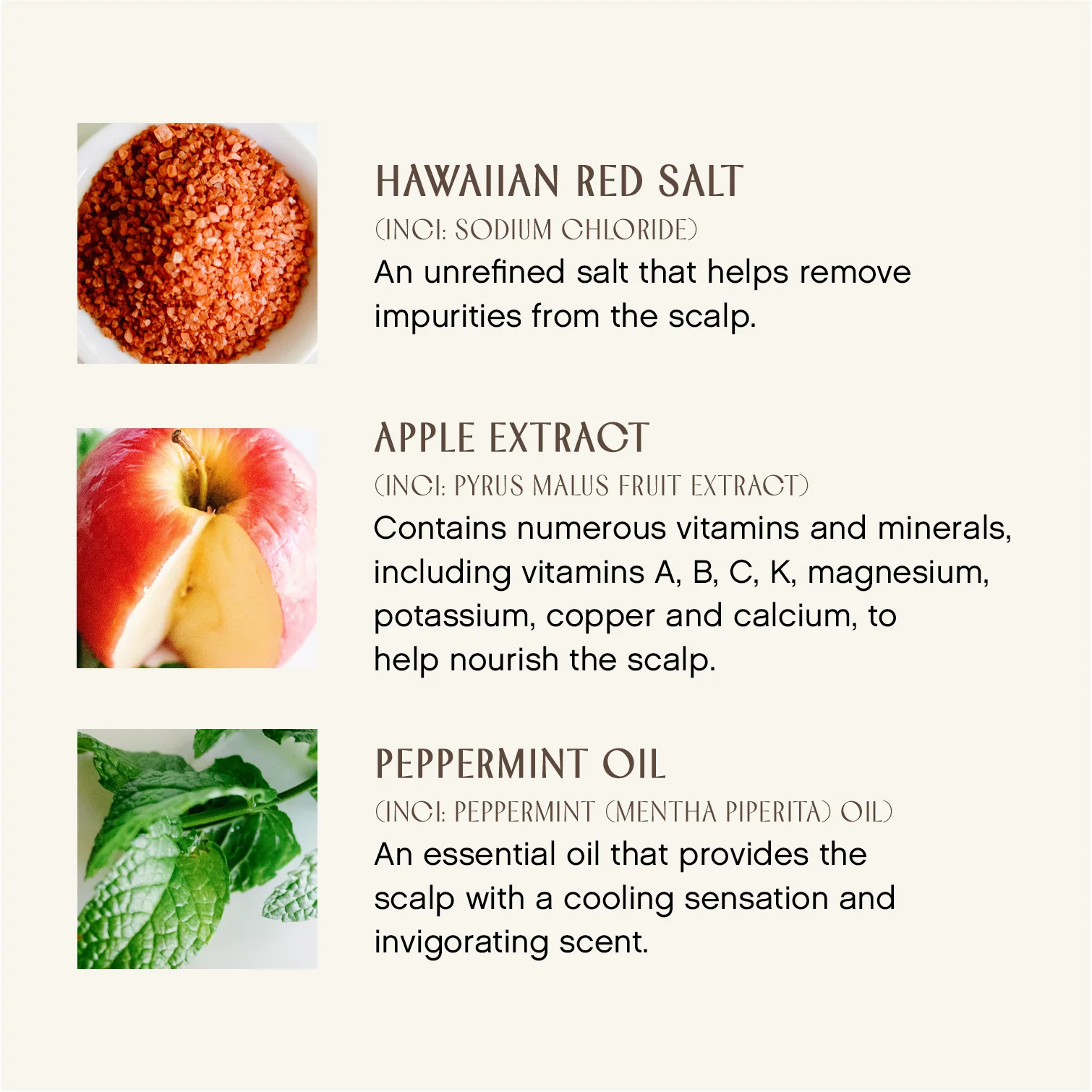 True Enlightenment Scalp Scrub 3 True Enlightenment Scalp Scrub