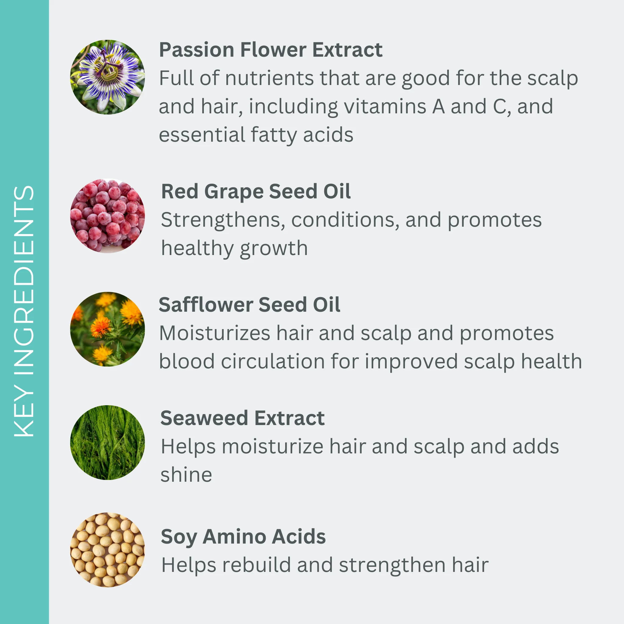 UltraShine Moisture Shampoo 3 UltraShine Moisture Shampoo