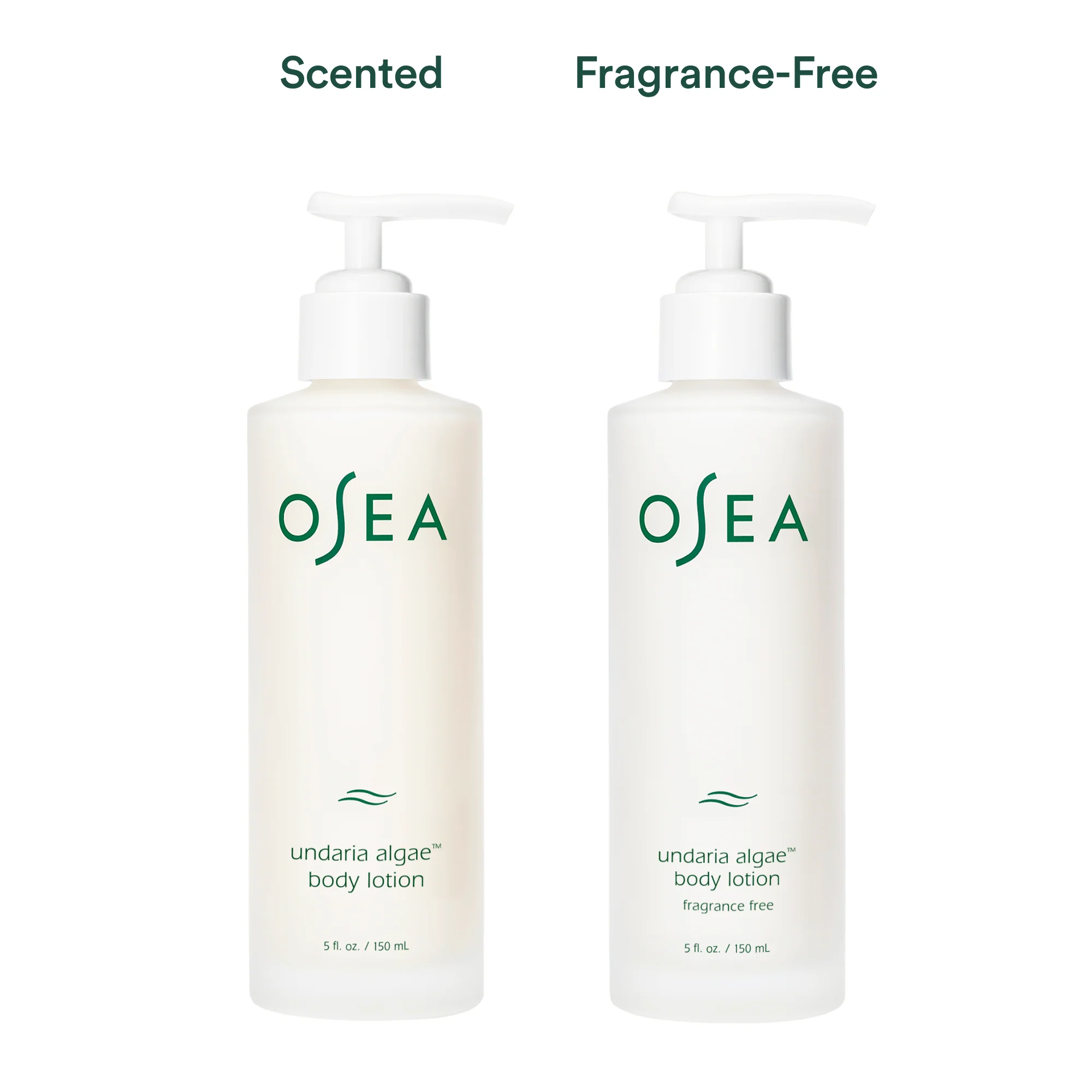 Undaria Algae™ Body Lotion 6 Undaria Algae™ Body Lotion