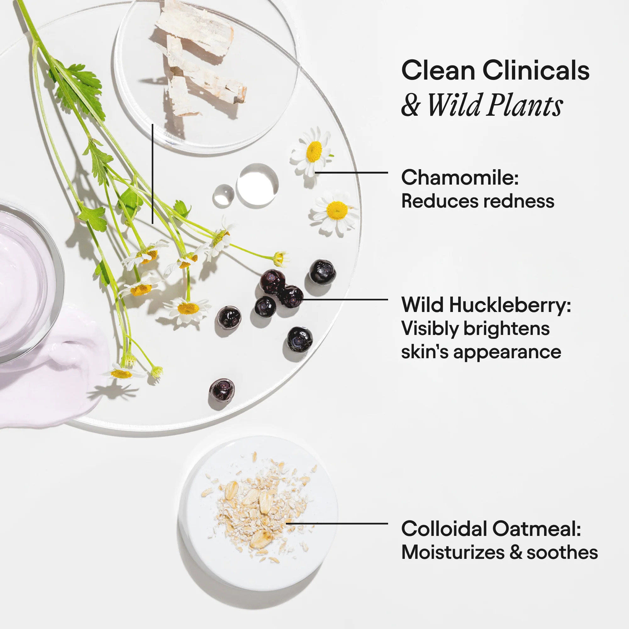 Wild Huckleberry Radiance Recovery Peel 7 Wild Huckleberry Radiance Recovery Peel