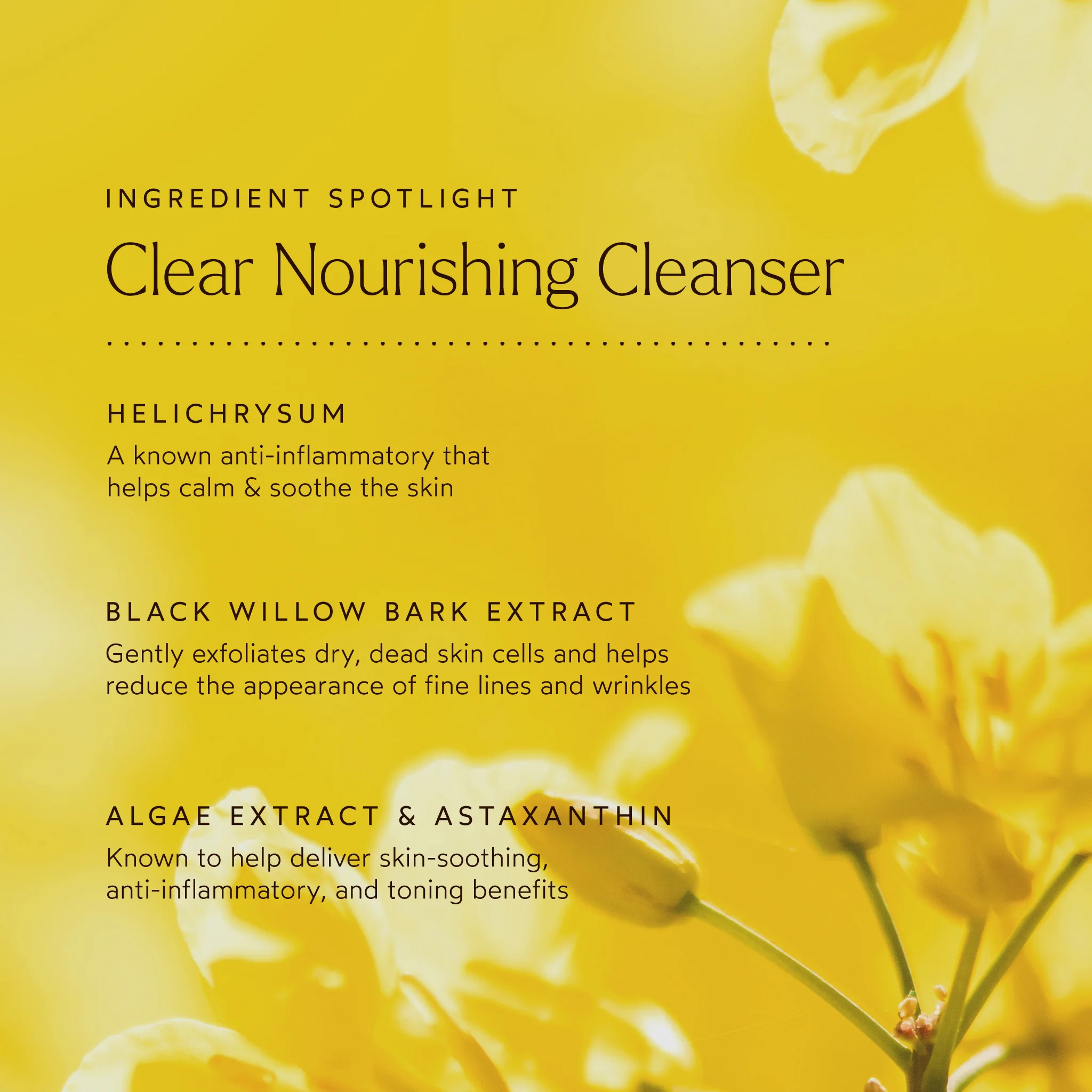 CLEAR Nourishing Cleanser 4 CLEAR Nourishing Cleanser
