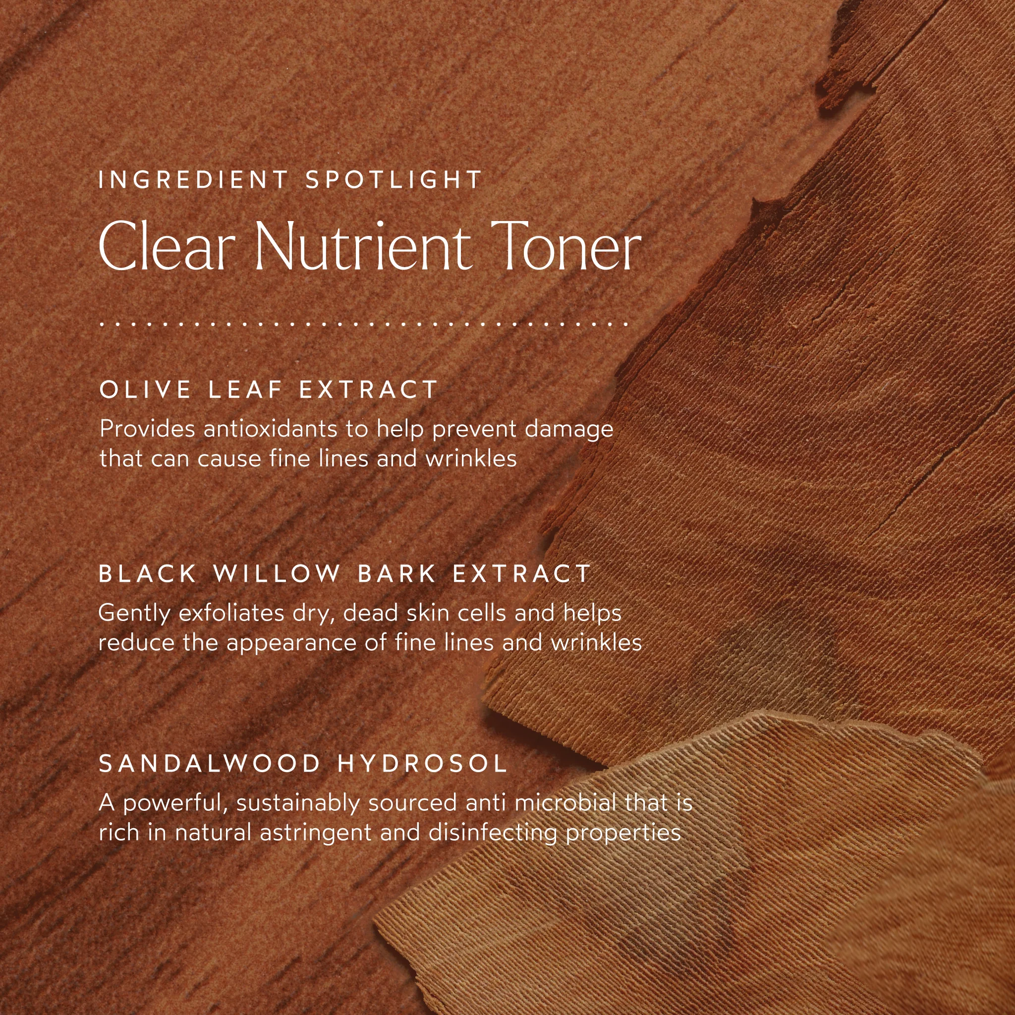 CLEAR Nutrient Toner 3 CLEAR Nutrient Toner